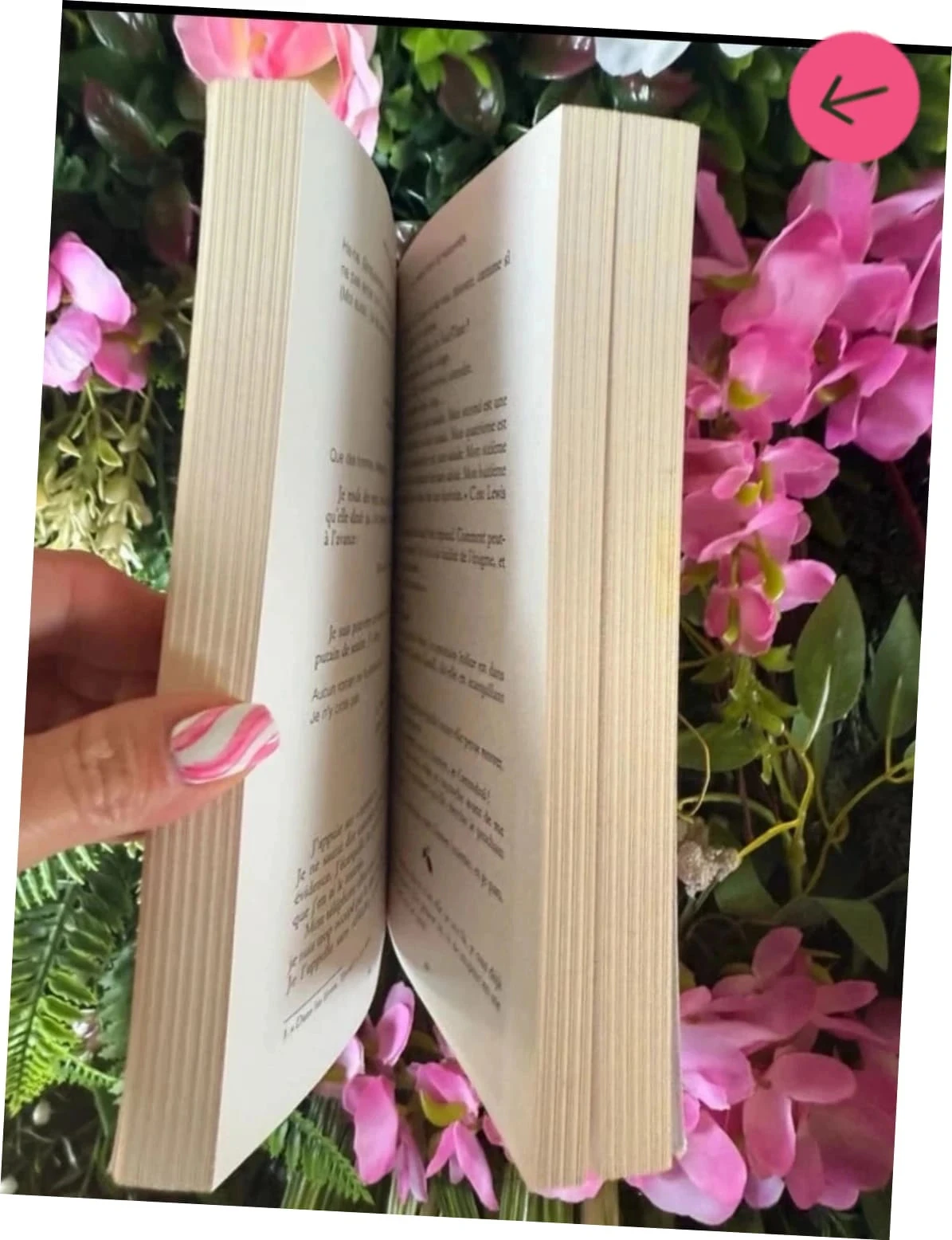 A Fall to Forgive You Morgane moncomble Book – photo 5